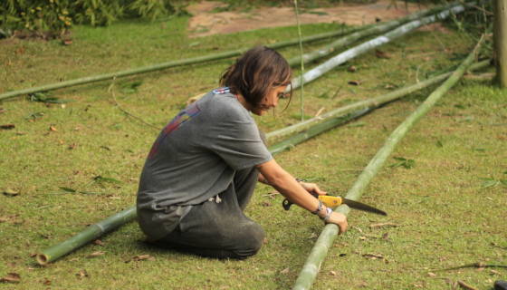 voluntário cortando bambu