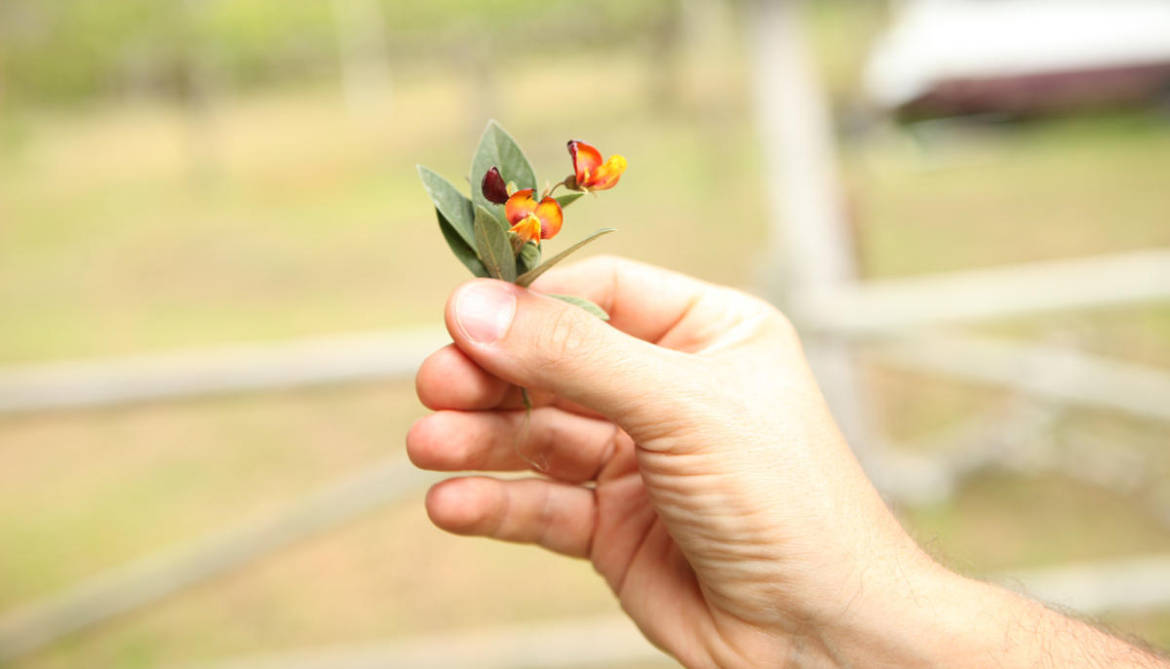mao-com-flor-1.jpg