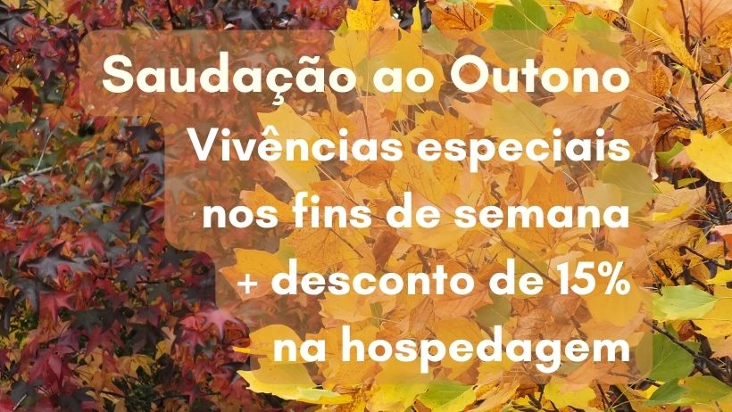 capas-paginas-2.jpg