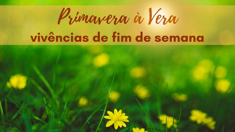 capas-paginas.jpg